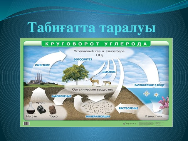 Табиғатта таралуы