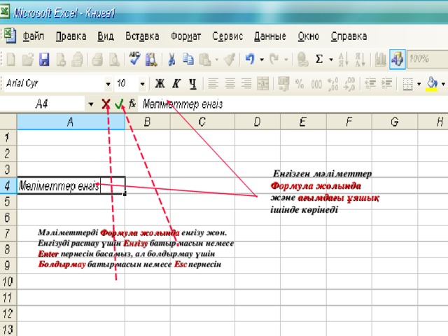 Енгізген мәліметтер Формула жолында  және ағымдағы ұяшық ішінде көрінеді Мәліметтерді Формула жолында  енгізу жөн. Енгізуді растау үшін Енгізу батырмасын немесе Enter пернесін  басамыз, ал болдырмау үшін Болдырмау  батырмасын  немесе Esc  пернесін