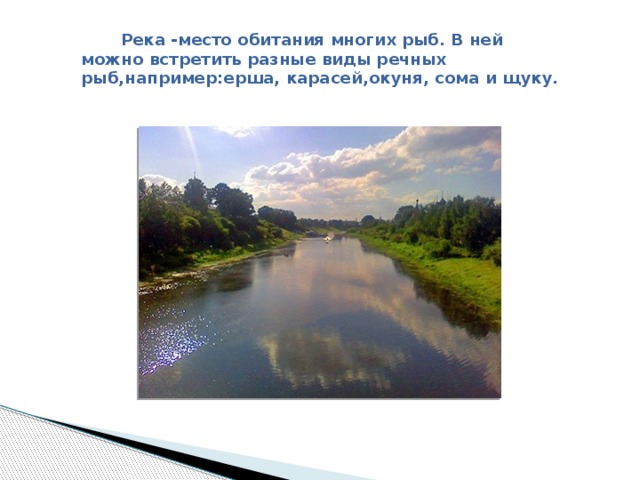 Река -место обитания многих рыб. В ней можно встретить разные виды речных рыб,например:ерша, карасей,окуня, сома и щуку.