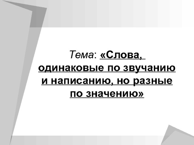 Слова одинаковые по написанию но разные