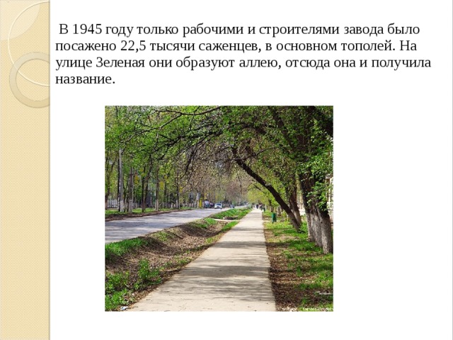 В 1945 году только рабочими и строителями завода было посажено 22,5 тысячи саженцев, в основном тополей. На улице Зеленая они образуют аллею, отсюда она и получила название.