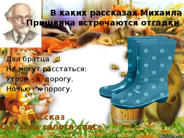 Пришвин как заяц сапоги съел. Как заяц сапоги съел пришвин. Какие рассказы. Рассказ как заяц сапоги съел. Как заяц сапоги съел рисунок.