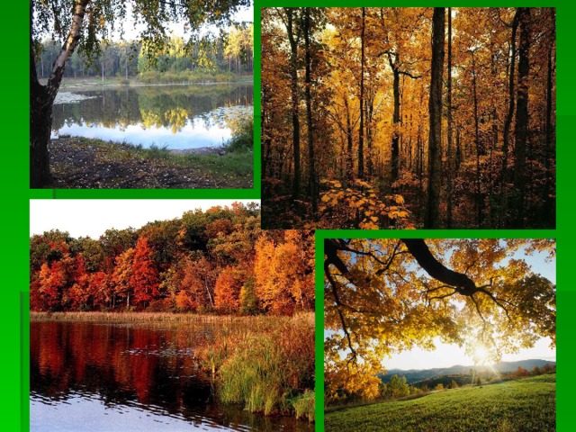 Что является сигналом сезонных изменений. Циклические изменения в природе. Сезонные изменения экосистем. Сезонные изменения биогеоценозов. Сезонные ритмы в жизни растений.