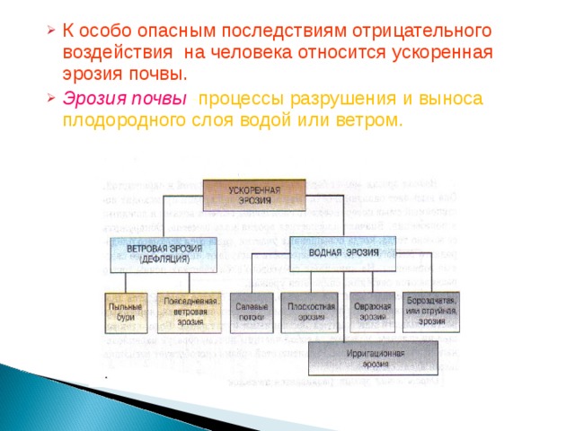 К особо опасным последствиям отрицательного воздействия на человека относится ускоренная эрозия почвы. Эрозия почвы - процессы разрушения и выноса плодородного слоя водой или ветром.