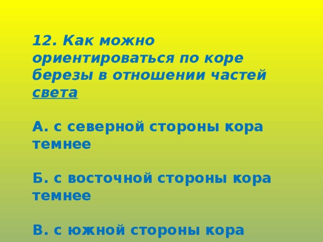 12. Как можно ориентироваться по коре березы в отношении частей света  А. с северной стороны кора темнее  Б. с восточной стороны кора темнее  В. с южной стороны кора темнее.