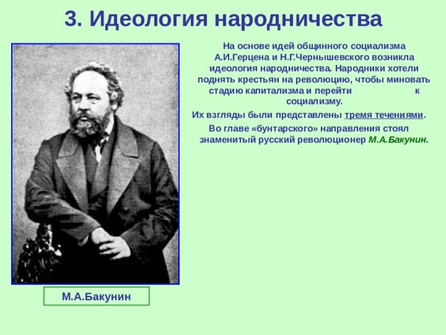 Основные идеи революционного народничества