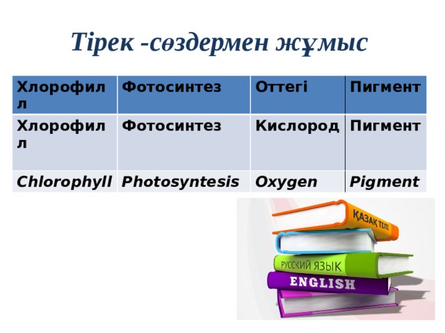 Тірек -сөздермен жұмыс Хлорофилл Фотосинтез Хлорофилл Фотосинтез Оттегі Chlorophyll Пигмент Кислород Photosyntesis Пигмент Oxygen Pigment