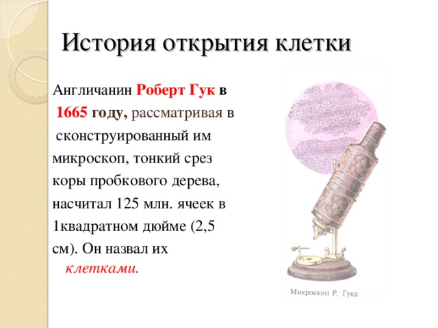 История открытия клетки Англичанин  Роберт Гук в  1665 году, рассматривая в  сконструированный им микроскоп, тонкий срез коры пробкового дерева, насчитал 125 млн. ячеек в 1квадратном дюйме (2,5 см). Он назвал их клетками.