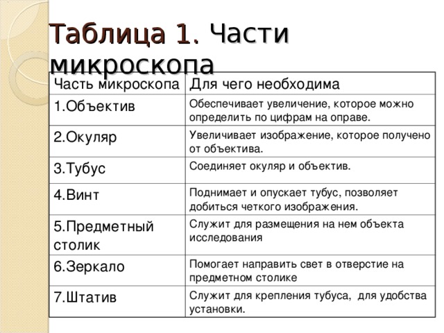 Таблица 1. Части микроскопа Часть микроскопа Для чего необходима 1.Объектив Обеспечивает увеличение, которое можно определить по цифрам на оправе. 2.Окуляр Увеличивает изображение, которое получено от объектива. 3.Тубус Соединяет окуляр и объектив. 4.Винт Поднимает и опускает тубус, позволяет добиться четкого изображения. 5.Предметный столик Служит для размещения на нем объекта исследования 6.Зеркало Помогает направить свет в отверстие на предметном столике 7.Штатив Служит для крепления тубуса, для удобства установки.